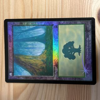 【Foil】(347)《森/Forest》[MMQ] 土地