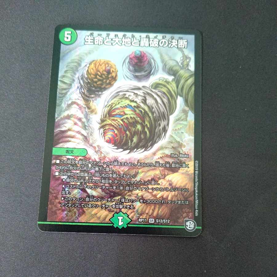 Life Life, Earth and Roaring Decision SR S12/S12