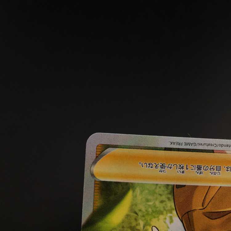 Pokemon card Pokemon Gardenia's Vivify sr