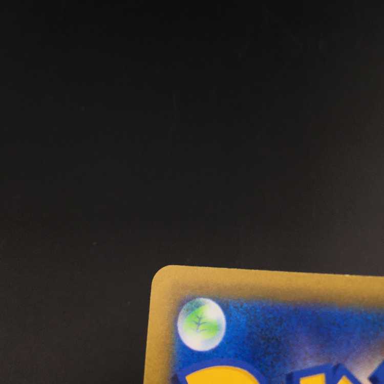 Pokemon card Pokemon Gardenia's Vivify sr