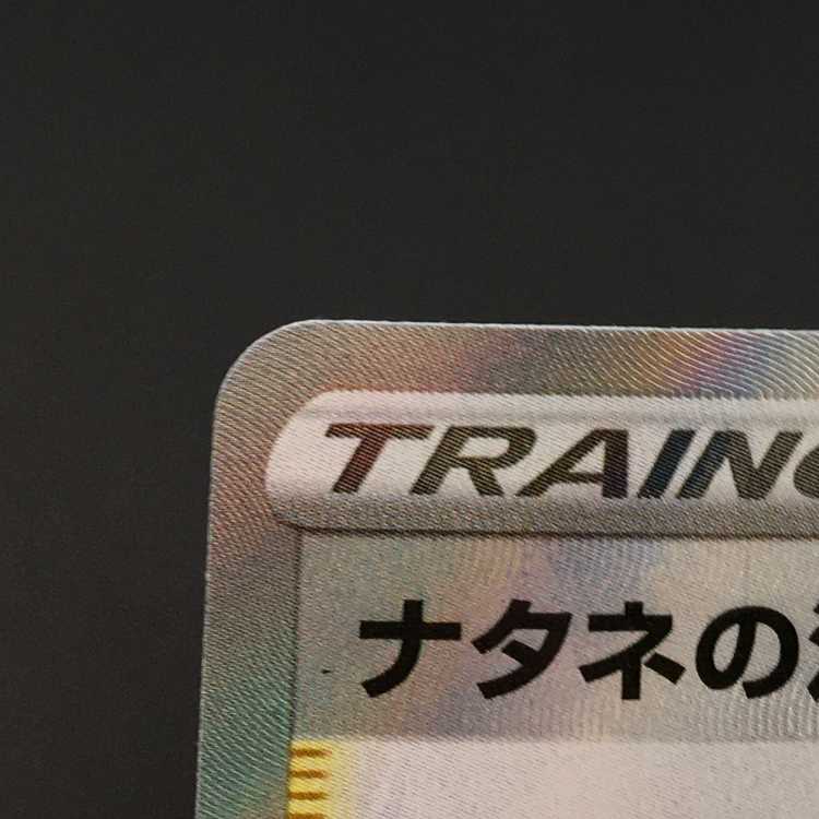 Pokemon card Pokemon Gardenia's Vivify sr