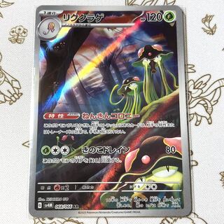 リククラゲ AR 068/066