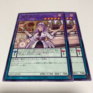 Saint Confectioner Ku Bianca Rare JP038