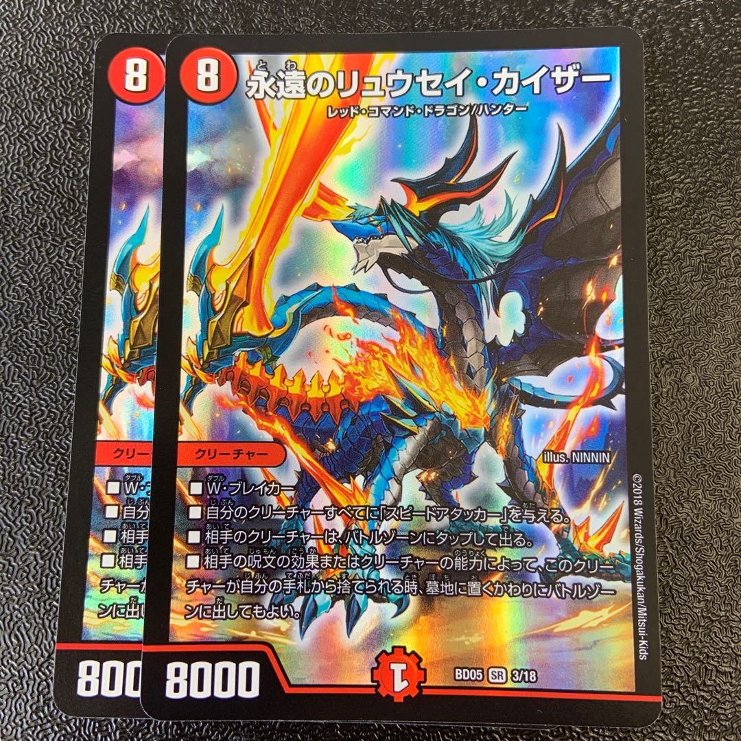 Eternal Ryusei Kaiser