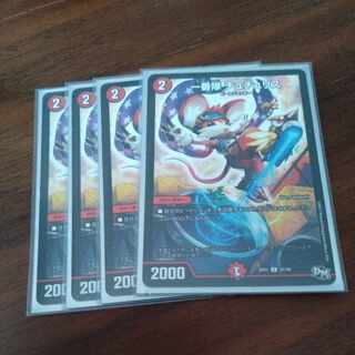 First team Tutu Squirrel C 45/48