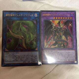 遊戯王　アナコンダ