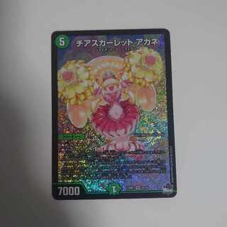 Cheer Scarlet Whitney SR S8/S8