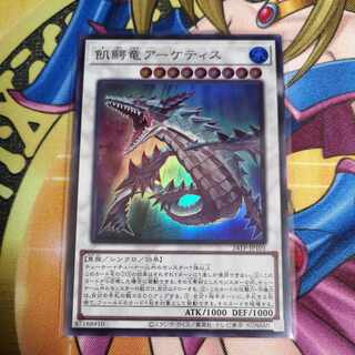 Ravenous Crocodragon Archethys Super Tournament Pack TP24-101 Yu-Gi-Oh!