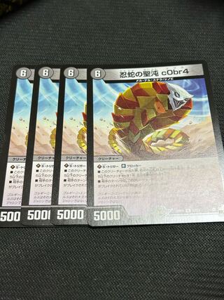 忍蛇の聖沌c0br4