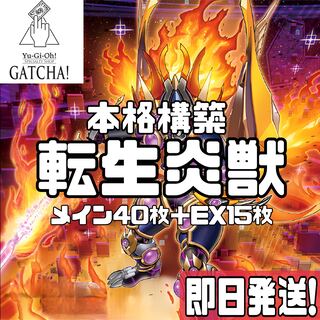 レイジングフェニックス」の激安通販 | magi