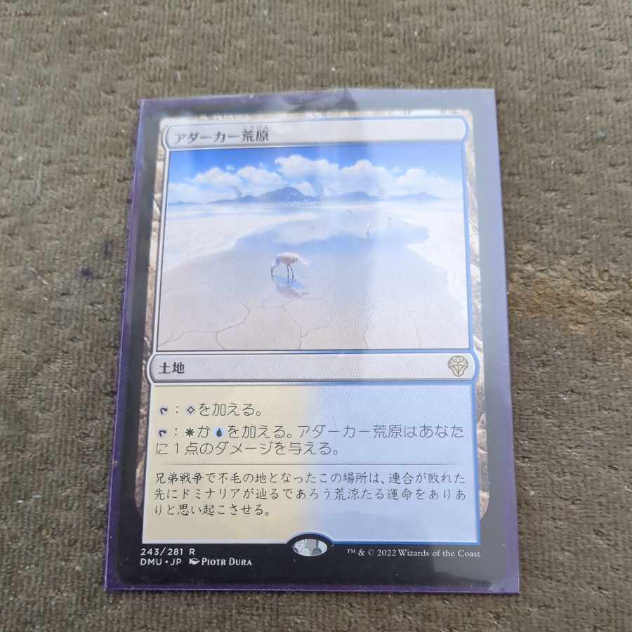 Adarkar Wastes Rare 243/281