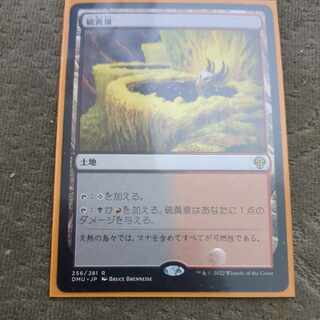 Sulfurous Springs Rare 256/281 Red-Black Dame Run