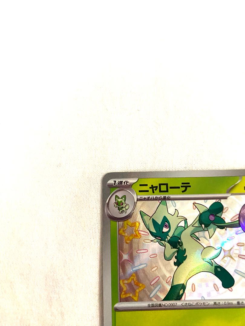 ニャローテ S 202/190