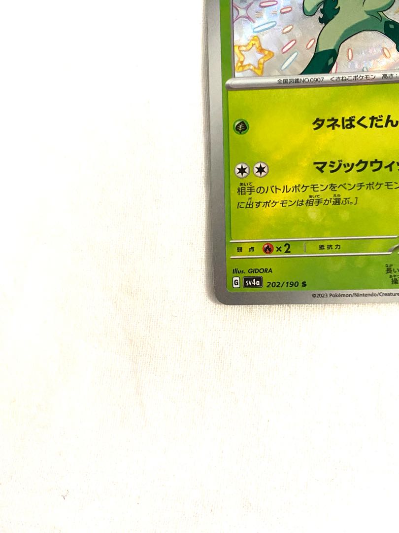 ニャローテ S 202/190