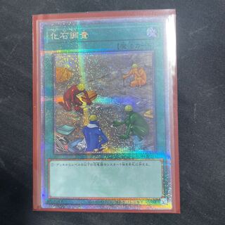 Fossil Dig QSE JP054