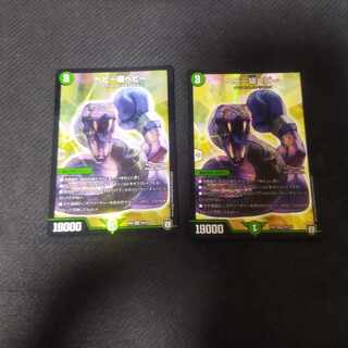 Heavyweight Heavy SR S9/S10 2 copies 2枚