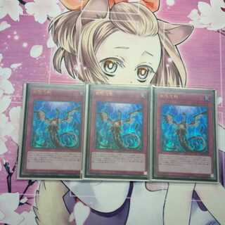 無限泡影　ウルトラ　むげんほうよう　むげんほうえい　レアコレ3