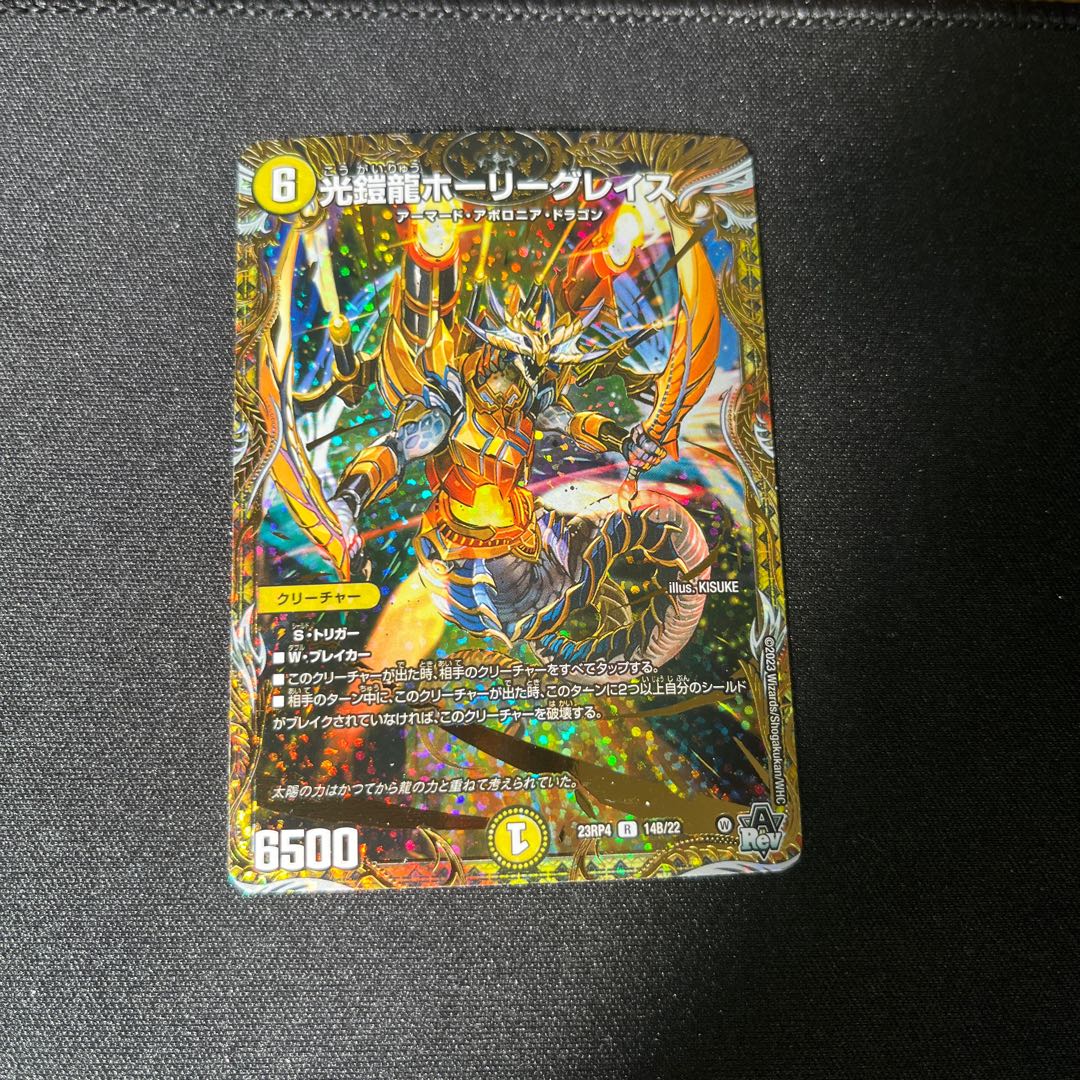 Holy Grail of Light Armor Dragons