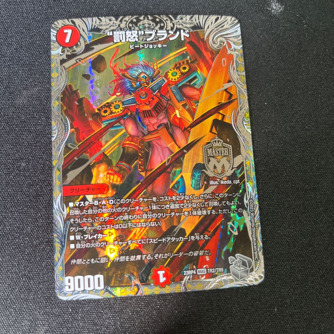 Punishment brand MAS TR2/TR9