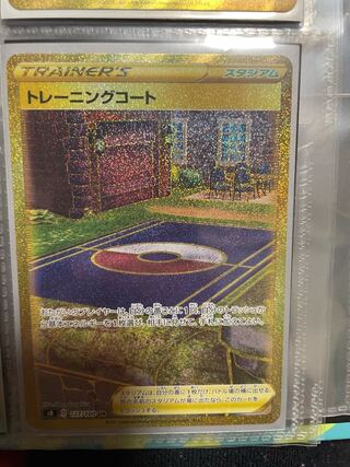 Training Court UR 127/100