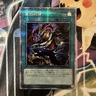 突然回帰 QCSE PHNI-JP070