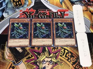 捕食植物オフリス・スコーピオ レア 3枚セット