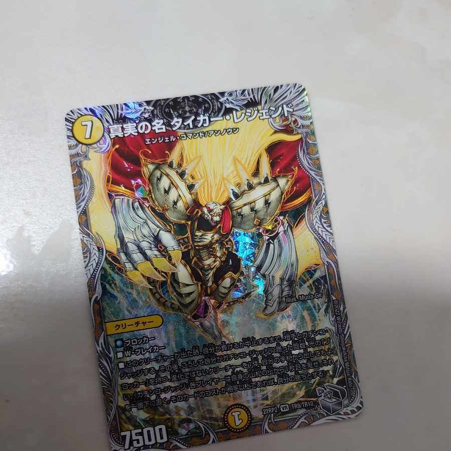 The True Name Tiger Legend (Silver Treasure) VR TR9/TR10