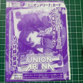 VJump Appendix Union Arena