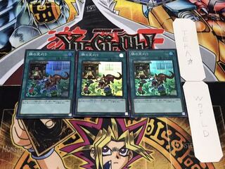 隣の芝刈り スーパー 3枚セット