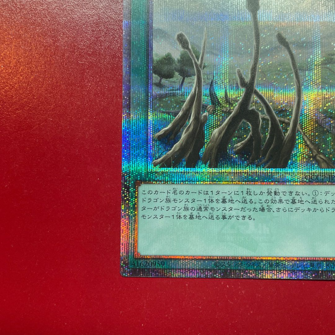 Yu-Gi-Oh! Dragon Shrine [QCCP] 25th