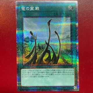 Yu-Gi-Oh! Dragon Shrine [QCCP] 25th