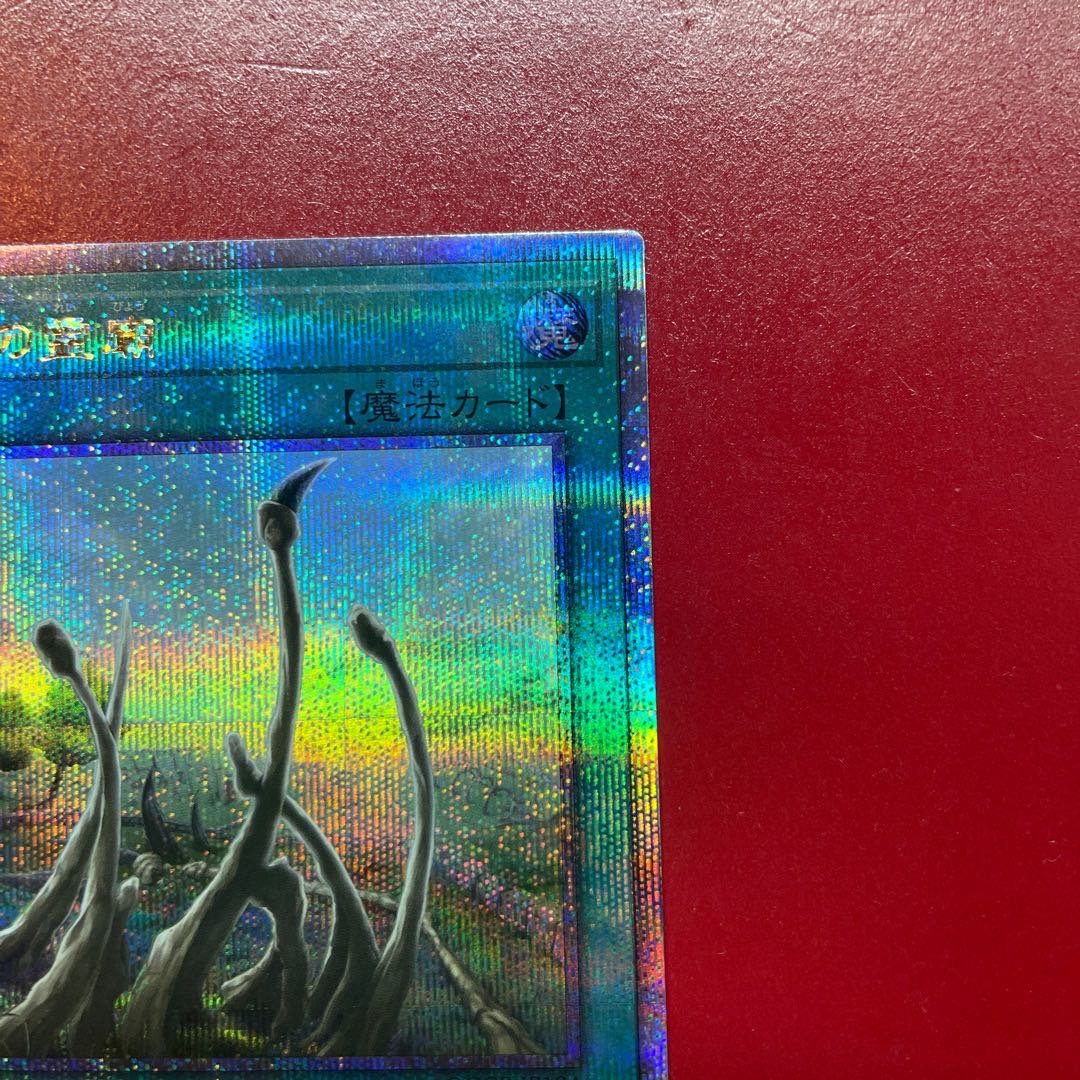 Yu-Gi-Oh! Dragon Shrine [QCCP] 25th