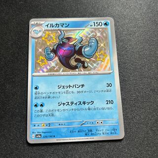 イルカマン S 229/190 1枚