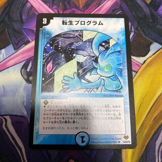 Transmogrify R 34/84/Y8