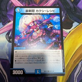 Kakushi Recipe C 87/110