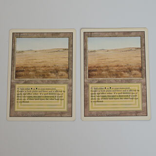 mtg 3ed savanna english edition set of 2