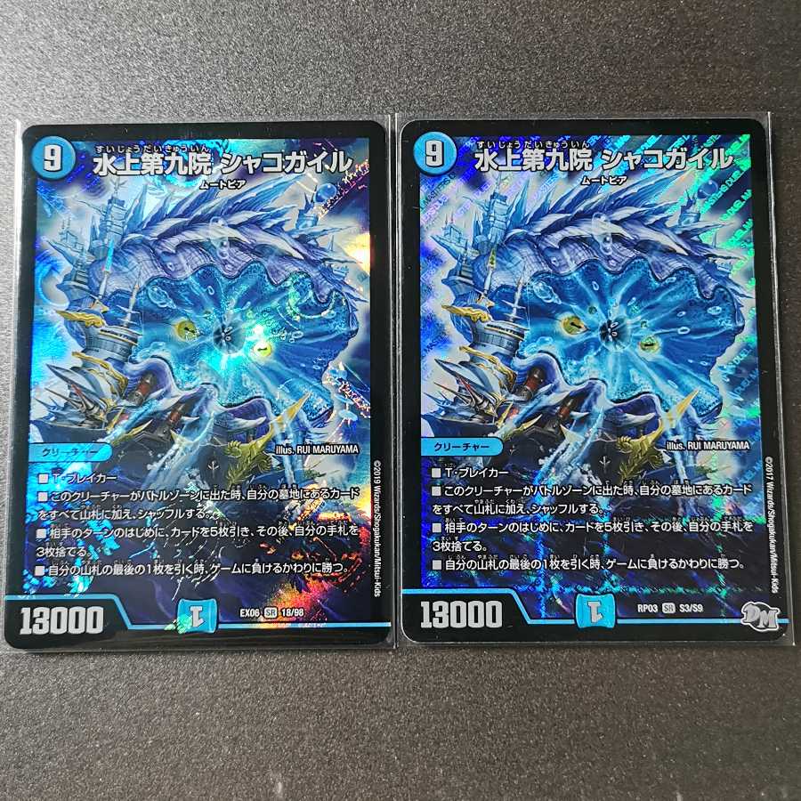 水上第九院 シャコガイル