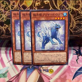 No.264 P屋　極氷獣ブリザード・ウルフ 【ノー】×3