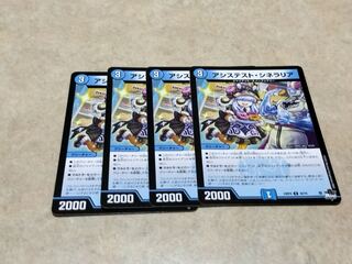 アシステスト・シネラリア