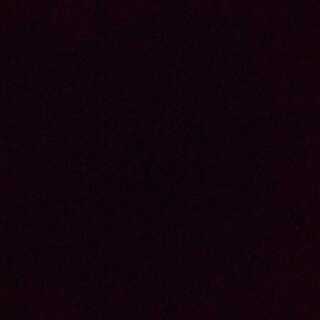 専用 バックラスター