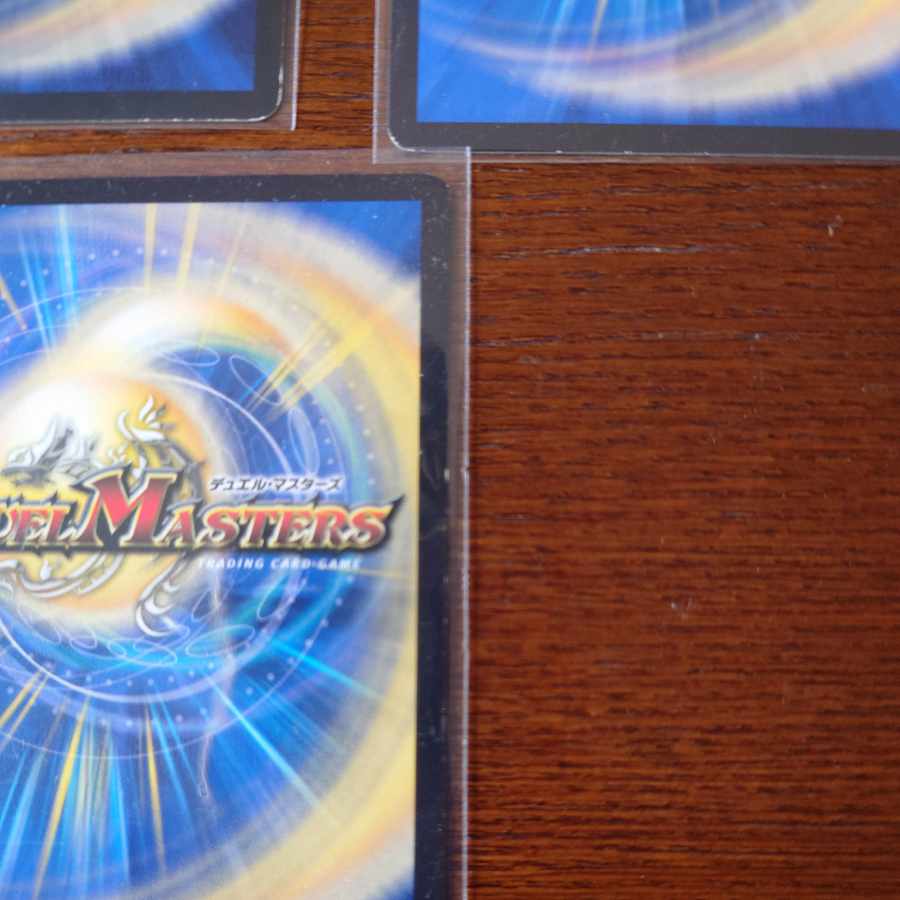 Myelinologist Spiner R P46/Y17 1枚