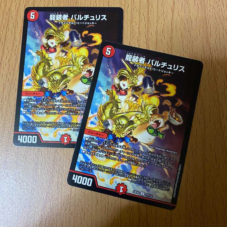 2 pieces of Dragon Costumers Bartu Squirrel