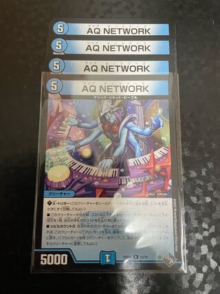 AQ NETWORK R 12/74