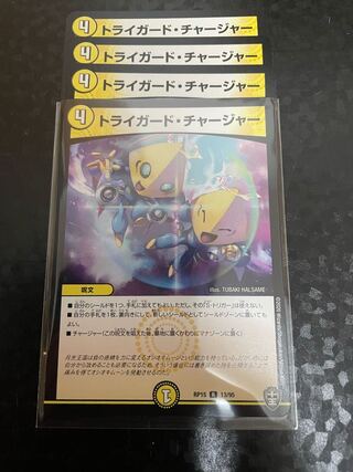 Triguard Charger R 13/95