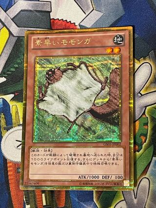 Nimble Momonga Gold Secret 1 piece