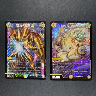 「雷光の聖騎士」 ｢絶対の盾騎士｣