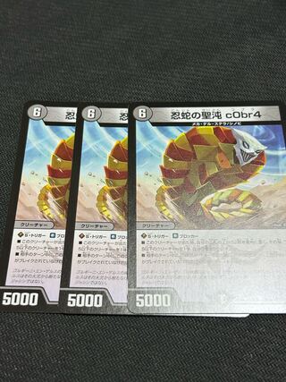 忍蛇の聖沌c0br4