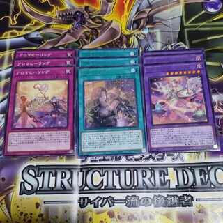 Aroma Healing Aroma Blend AromaMari Squirrel Magnolia