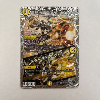 Akernal, the Spirit of Stargaze Gate｜Stargaze Gate VR 1 Silver Treasure