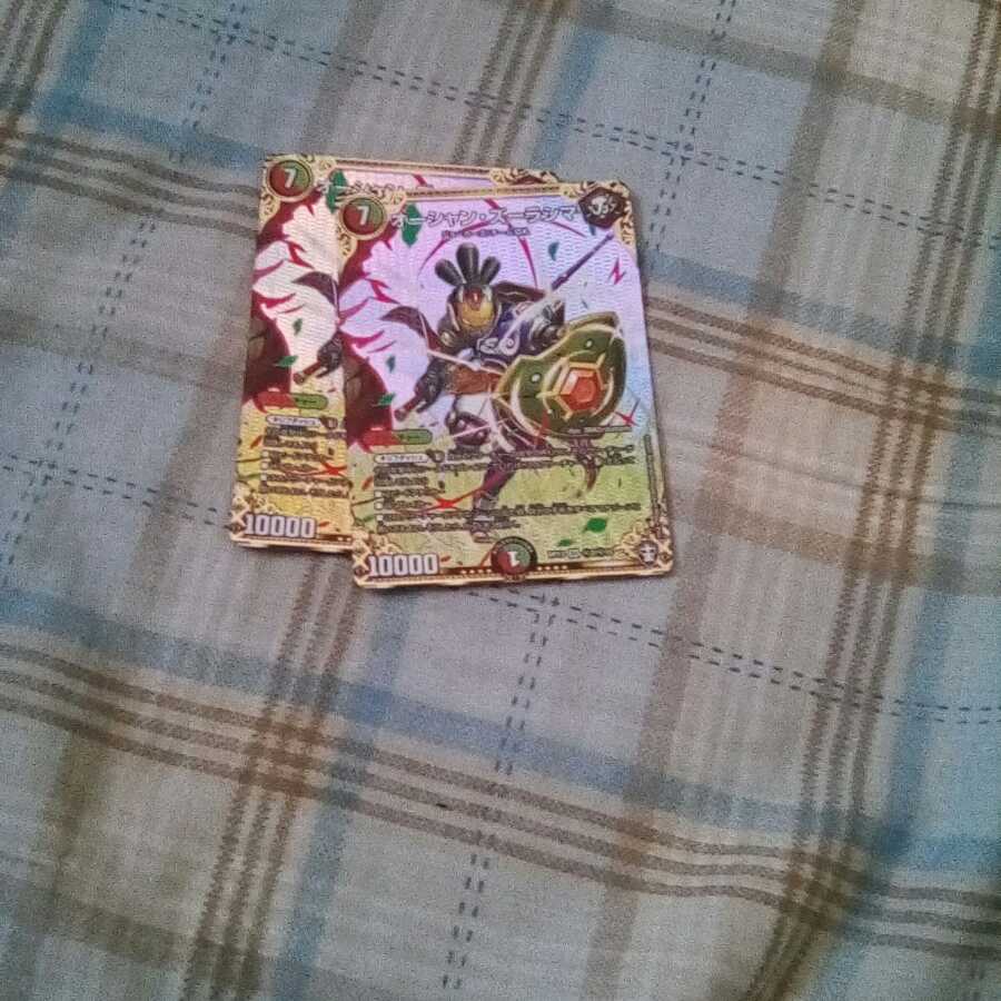 オーシャン・ズーラシマ SE